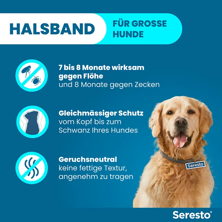 shopapotheke Seresto® Halsband für große Hunde ab 8 kg Begrenztes Angebot