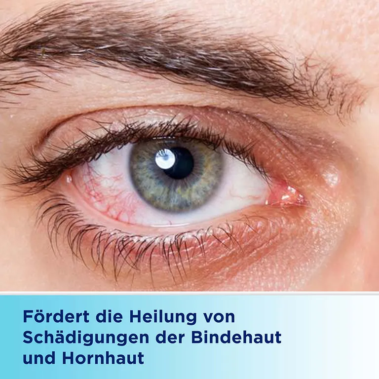 shopapotheke Bepanthen® Augen- und Nasensalbe zur Förderung der Wundheilung Online