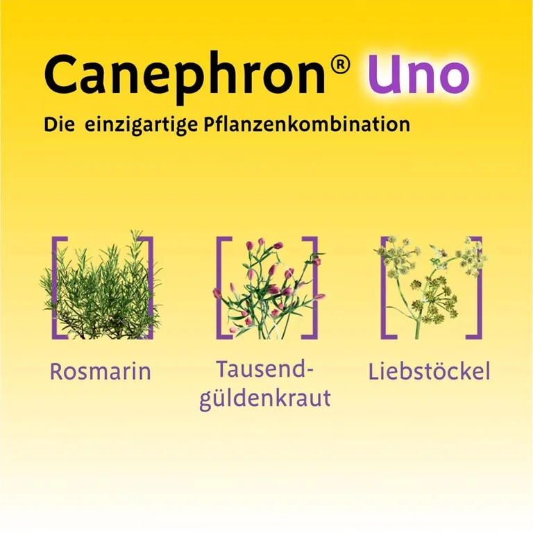 shopapotheke Canephron® Uno bei akuter Blasenentzündung Saisonschlussverkauf