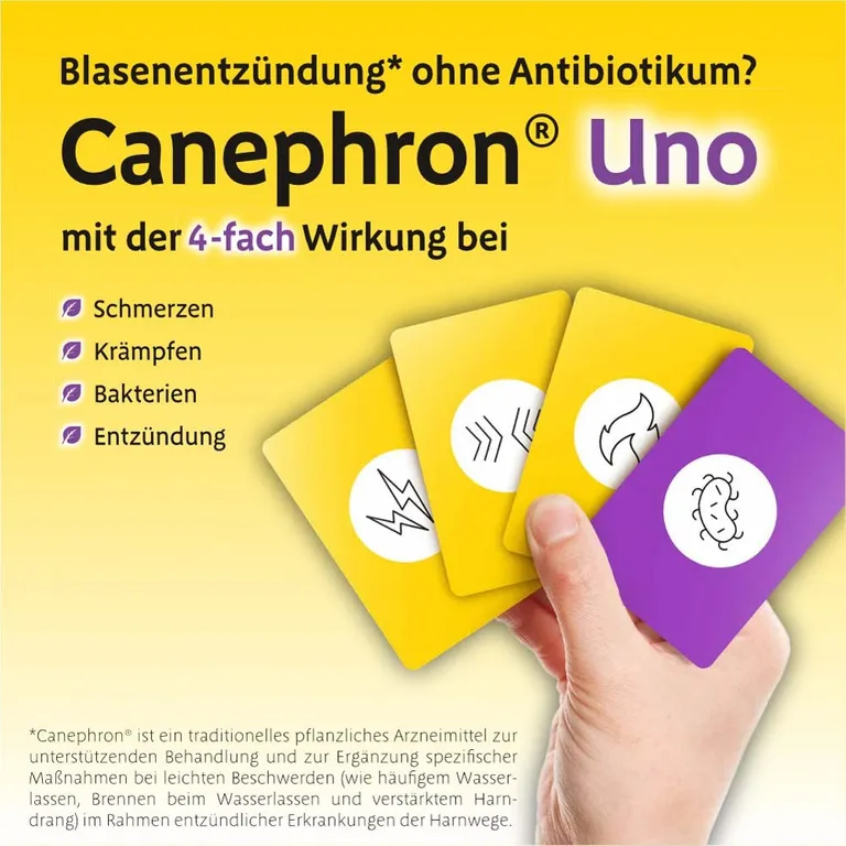 shopapotheke Canephron® Uno bei akuter Blasenentzündung Saisonschlussverkauf