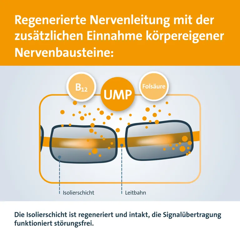 shopapotheke Keltican® forte Kapseln mit Uridinmonophosphat (UMP) Vitamin B12 und Folsäure zur Unterstützung der Nervenregeneration Kostenlose Rückgabe