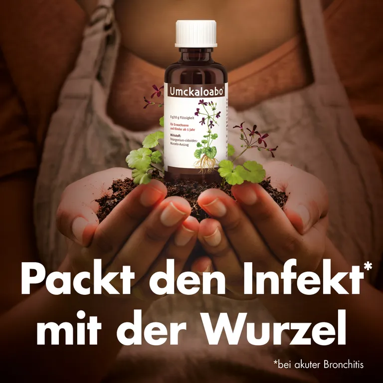 shopapotheke Umckaloabo® Lösung Preisnachlass