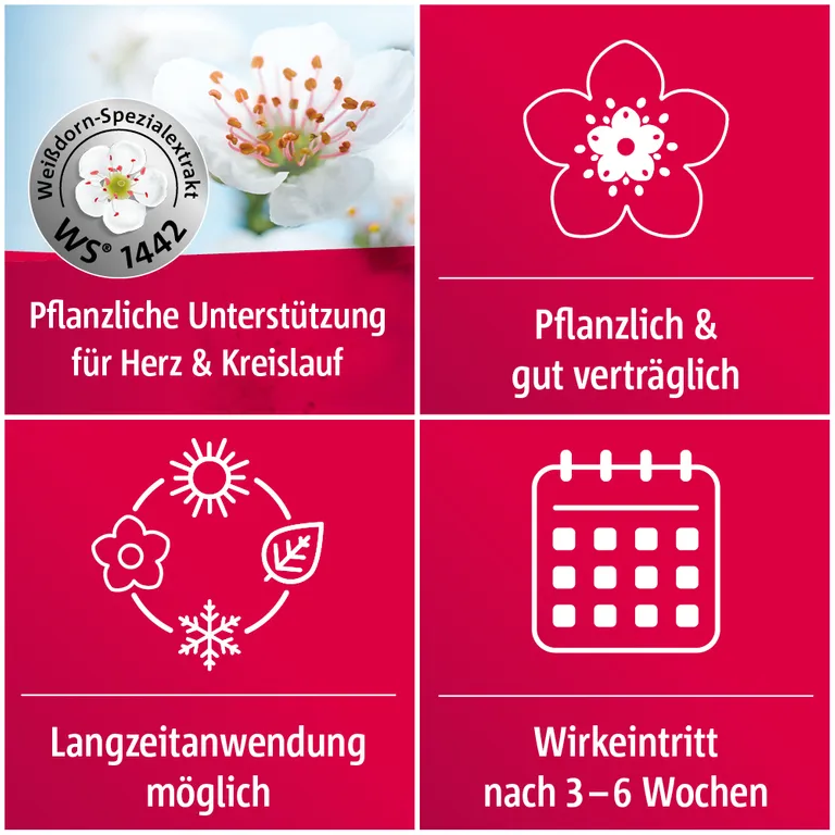 shopapotheke Crataegutt® 450 mg Herz-Kreislauf-Tabletten Kauf eins, bekomm eins gratis