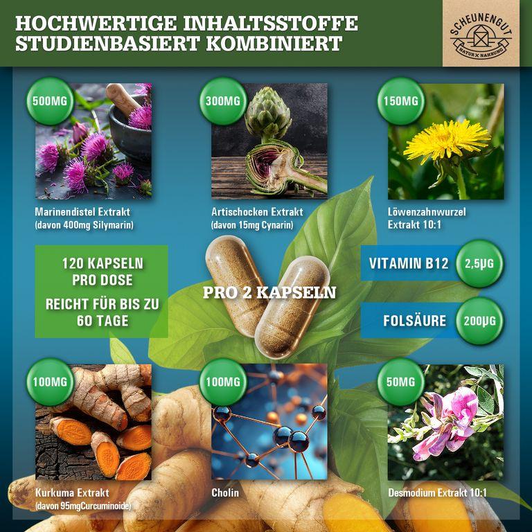 shopapotheke Scheunengut® LEBER INTENSO+ Riesige Rabatte