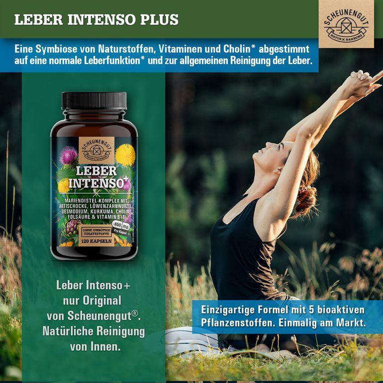 shopapotheke Scheunengut® LEBER INTENSO+ Riesige Rabatte