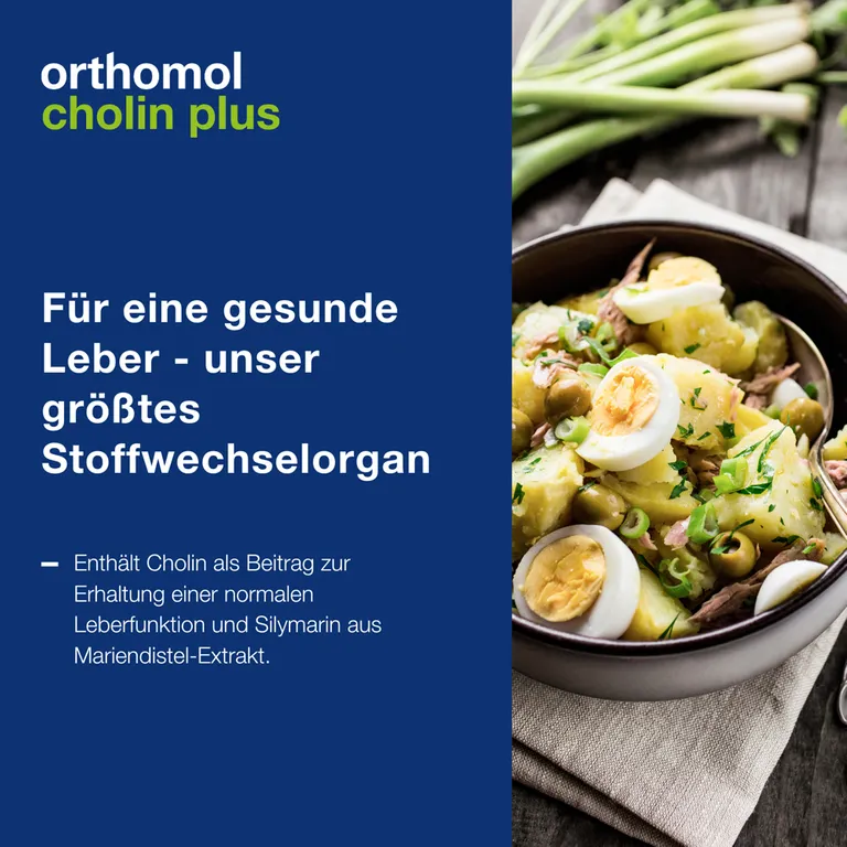 shopapotheke Orthomol Cholin Plus - zur Erhaltung einer normalen Leberfunktion - mit Silymarin aus Mariendistel-Extrakt Clearance-Verkauf