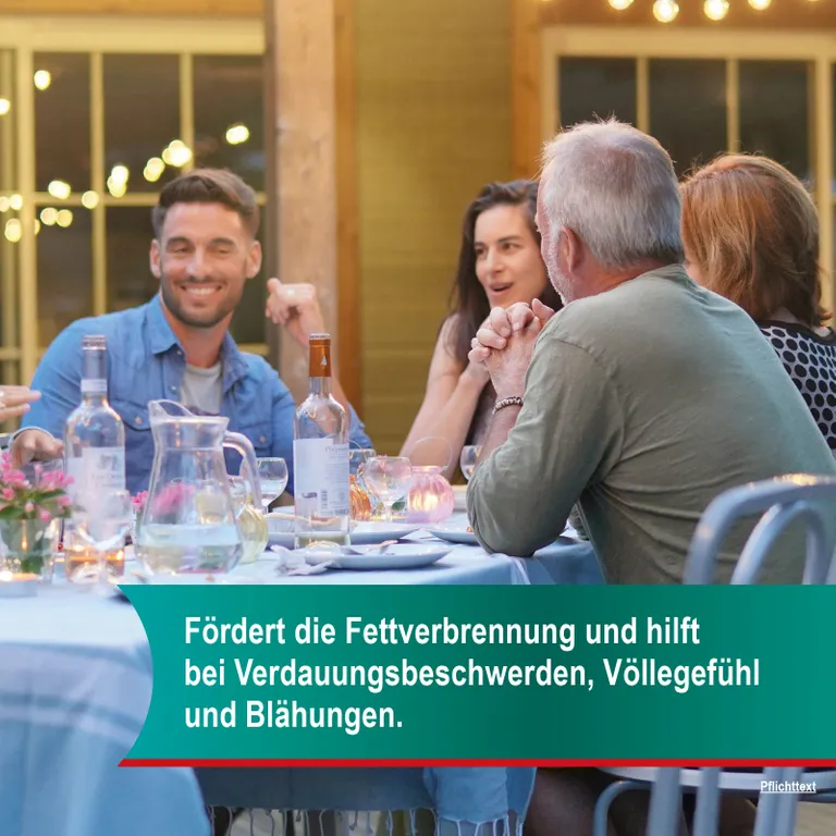 shopapotheke Hepar-SL® 640 mg Online