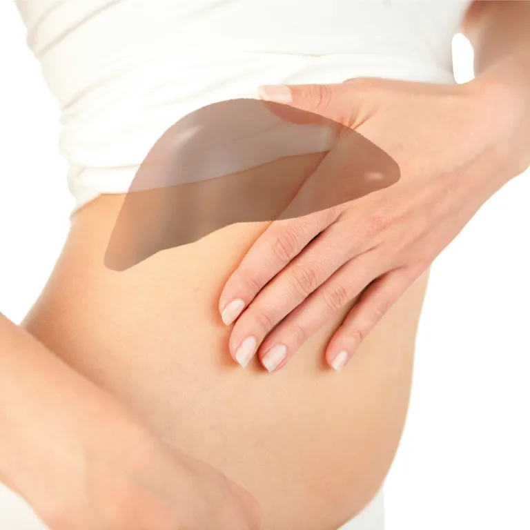 shopapotheke Hepar Hevert Lebertabletten Auslauf