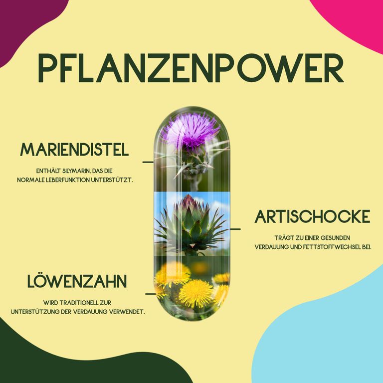 shopapotheke WURZELLIEBE Mariendistel Komplex mit Artischockenextrakt & Löwenzahn mit 80% Silymarin - 120 Kapseln im Angebot