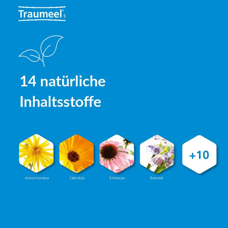 shopapotheke Traumeel® S Vatertagsangebot