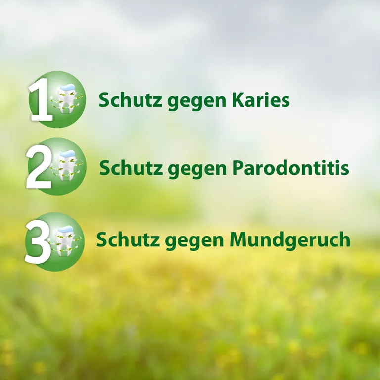 shopapotheke Salviagalen Madaus - Medizinische Zahnpasta ohne Fluorid Discount Store für neue Produkte