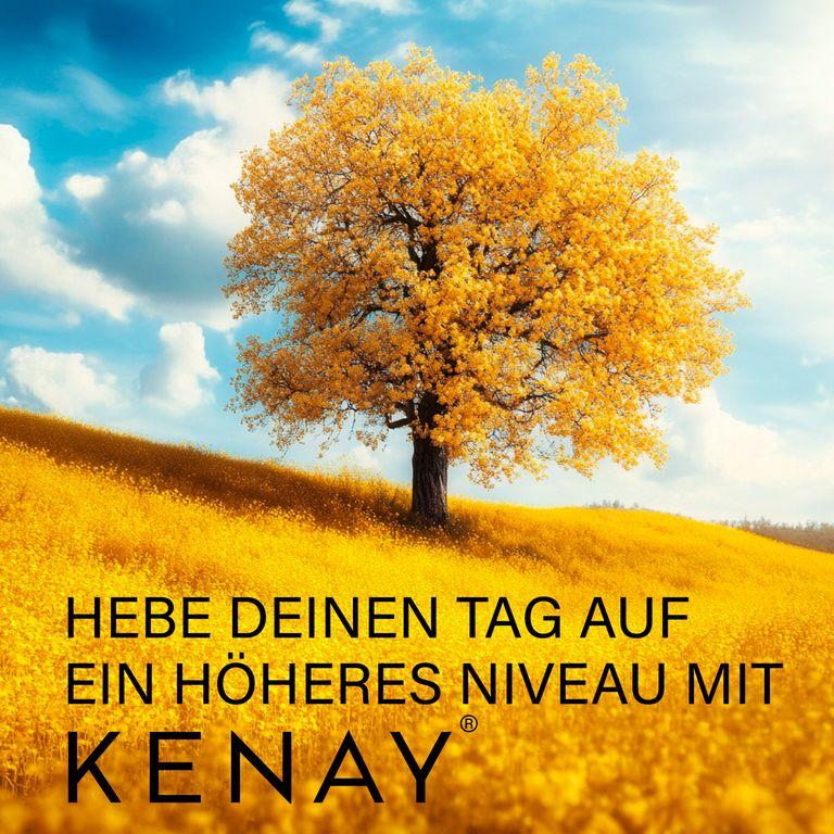 shopapotheke Silizium Lipocell Tech™ KENAY® Fabrik Onlineshop