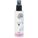 eccoverde Unique Beauty Neutraler Hairspray 150 ml Riesige Ersparnisse