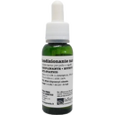 eccoverde La Saponaria PCA Glyercyl Oleate 25 ml Fabrikpreis