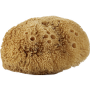 eccoverde Avril Natural Body Sponge Vatertagsangebot