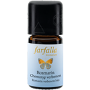 eccoverde farfalla Rosmarin Chemotyp Verbenon Grand Cru 5 ml Fabrikpreis