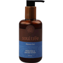 eccoverde soultree Aamla & Vetiver with Purifying Neem Hair & Body Wash 250 ml Valentinstagsangebot