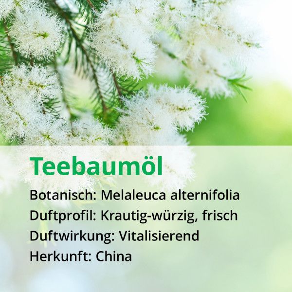 bodyguardapotheke TEEBAUM ÖL NATURREIN ätherisch Begrenztes Angebot