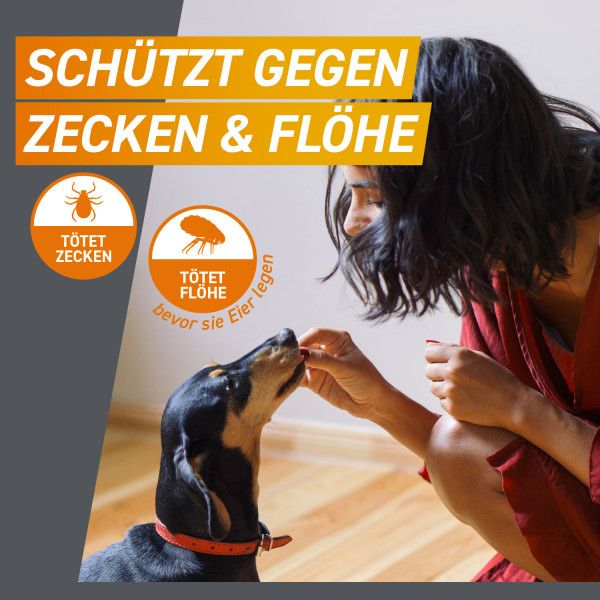 bodyguardapotheke FRONTPRO 28 mg Kautabletten f.Hunde >4-10 kg Preisnachlass