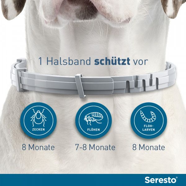bodyguardapotheke SERESTO Halsband für kleine Hunde Saisonschlussverkauf
