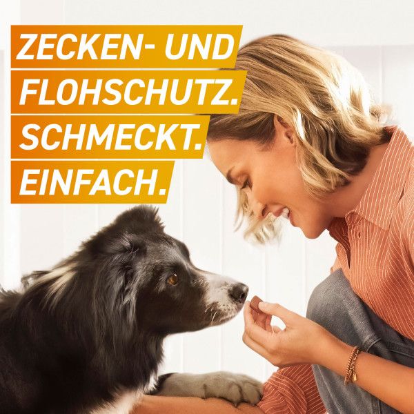 bodyguardapotheke FRONTPRO 11 mg Kautabletten f.Hunde 2-4 kg Weihnachtsangebot