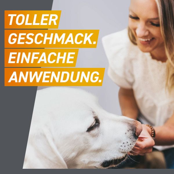 bodyguardapotheke FRONTPRO 11 mg Kautabletten f.Hunde 2-4 kg Weihnachtsangebot