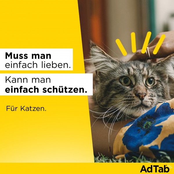 bodyguardapotheke ADTAB 48 mg Kautabletten für Katzen >2-8 kg Osterangebot