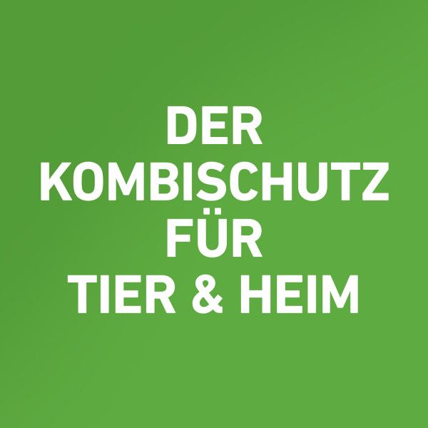 bodyguardapotheke FRONTLINE COMBO gegen Zecken Flöhe (Flöhe Eier Larven Puppen) für Hunde M Lagerräumung