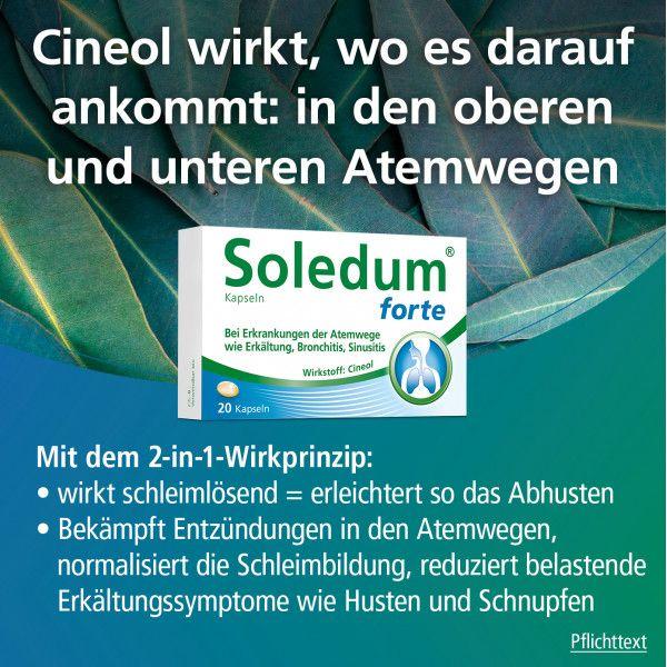 bodyguardapotheke SOLEDUM Kapseln forte 200 mg Meist gekauft