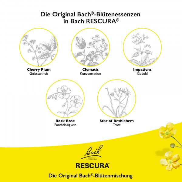 bodyguardapotheke Bach RESCURA® Tropfen mit Alkohol 10ml Exklusivangebot