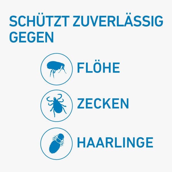 bodyguardapotheke FRONTLINE SPOT-ON gegen Zecken und Flöhe für Katzen Neuheiten