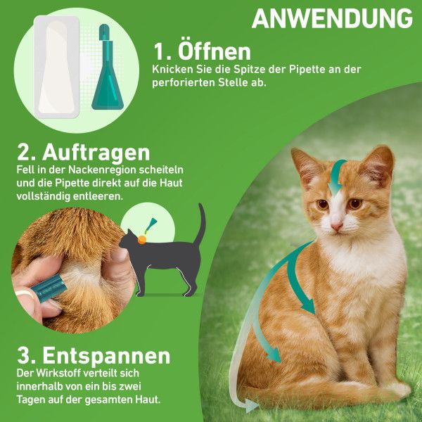 bodyguardapotheke FRONTLINE COMBO gegen Zecken Flöhe (Flöhe Eier Larven Puppen) für Katzen Bestseller
