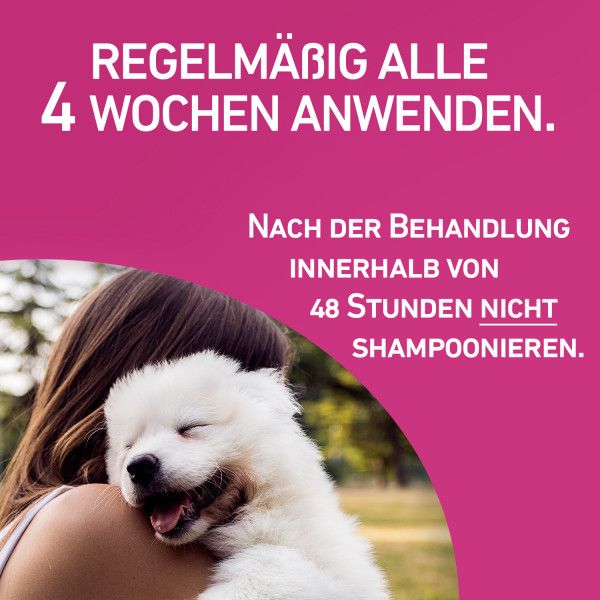 bodyguardapotheke FRONTLINE TRI-ACT gegen Zecken Flöhe und fliegende Insekten für Hunde L Räumungsverkauf