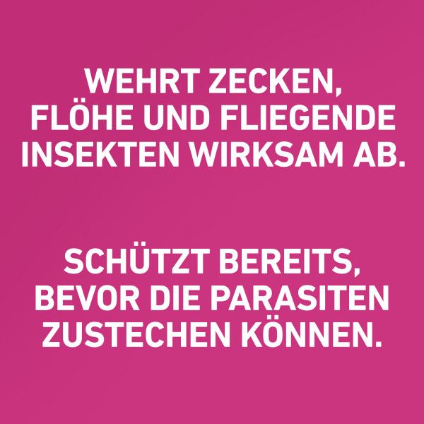 bodyguardapotheke FRONTLINE TRI-ACT gegen Zecken Flöhe und fliegende Insekten für Hunde XS Super Sparpreis
