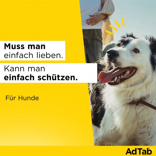 bodyguardapotheke ADTAB 56 mg Kautabletten für Hunde 1 3-2 5 kg Bis zu 60% Rabatt