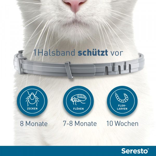 bodyguardapotheke SERESTO Halsband für Katzen Discount Store für neue Produkte