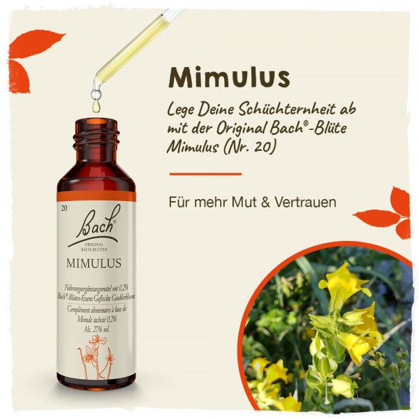 bodyguardapotheke Original Bachblüten Mimulus 20ml zollfrei