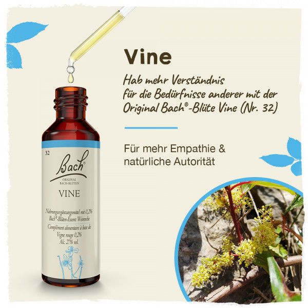 bodyguardapotheke Original Bachblüten Vine 20ml Blitzangebot