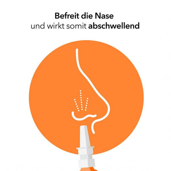 bodyguardapotheke NASENSPRAY-ratiopharm Erwachsene und Schulkinder konservierungsmittelfrei zollfrei