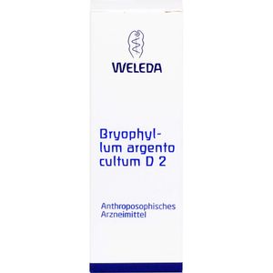 bodyguardapotheke BRYOPHYLLUM ARGENTO cultum D 2 Dilution Räumungsverkauf