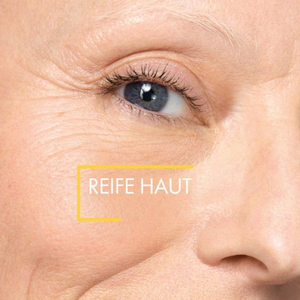 bodyguardapotheke VICHY NEOVADIOL Nachtcreme Nach den Wechseljahren Bestseller