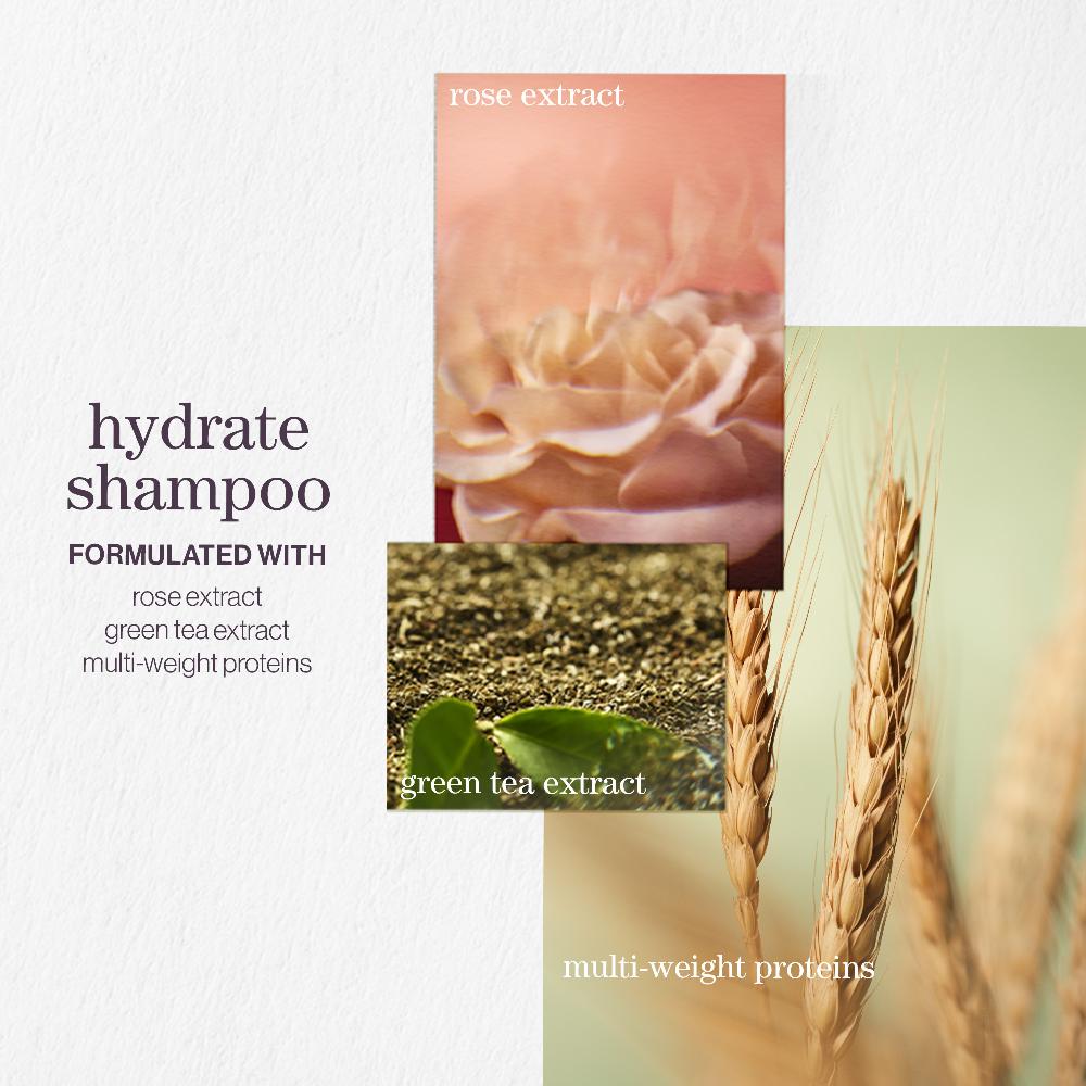 lookfantastic Pureology Hydrate Shampoo and Conditioner Moisturising Bundle for Dry Hair Sulphate Free for a Gentle Cleanse JETZT KAUFEN
