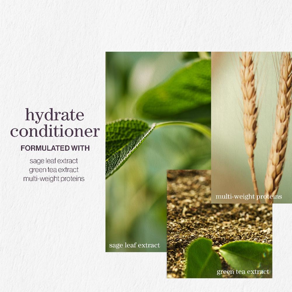 lookfantastic Pureology Hydrate Shampoo and Conditioner Moisturising Bundle for Dry Hair Sulphate Free for a Gentle Cleanse JETZT KAUFEN