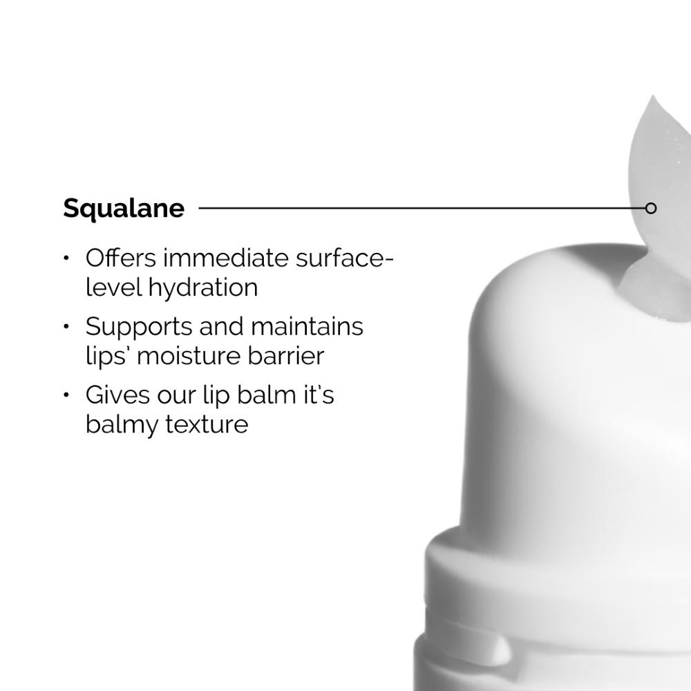 lookfantastic The Ordinary Squalane and Amino Acids Lip Balm 15ml Zeitbegrenzte Promotion