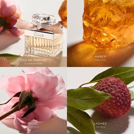 Chloé Chloé Chloé Bis zu 55% Rabatt