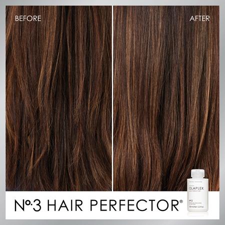 Olaplex Olaplex N°3 Hair Perfector Pflegebehandlung für beschädigtes und brüchiges Haar Saisonale Angebote