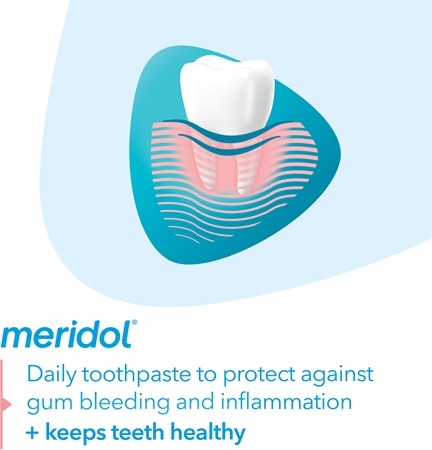 Meridol Meridol Gum Protection Zahnpasta unterstützt die Regeneration von gereiztem Zahnfleisch Fabrikverkauf