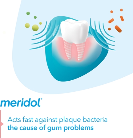 Meridol Meridol Gum Protection Zahnpasta unterstützt die Regeneration von gereiztem Zahnfleisch Fabrikverkauf