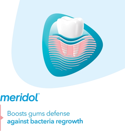 Meridol Meridol Gum Protection Zahnpasta unterstützt die Regeneration von gereiztem Zahnfleisch Fabrikverkauf