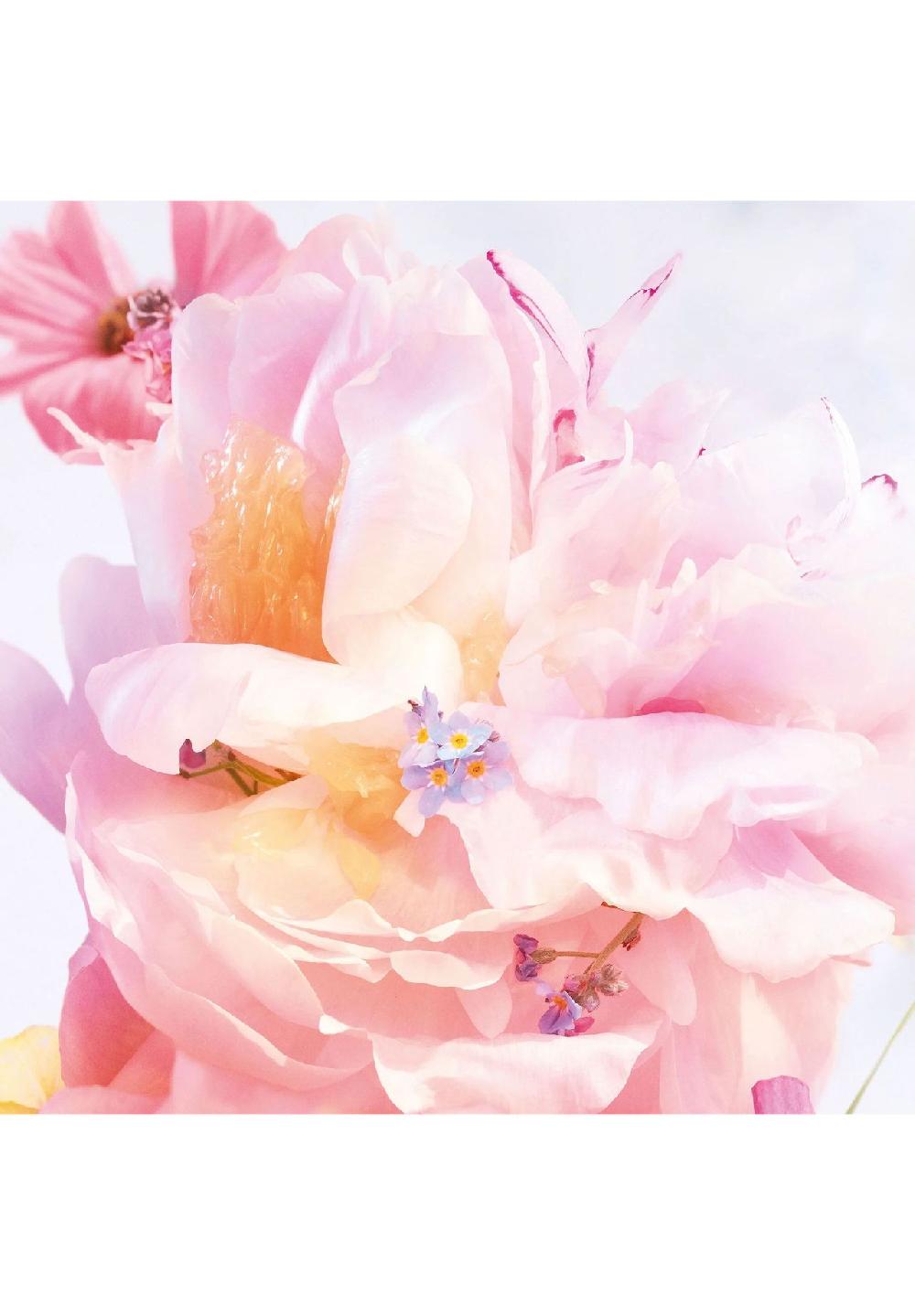 DIOR MISS DIOR BLOOMING BOUQUET EAU DE TOILETTE Hotsell